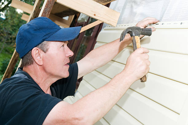 Best Furniture Removal  in Waterloo, NE